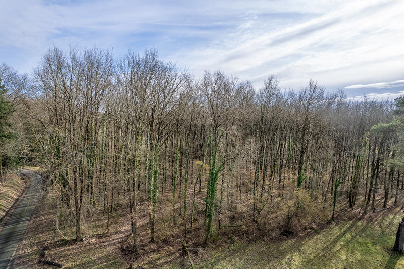 Terrain constructible - 6 783 m²