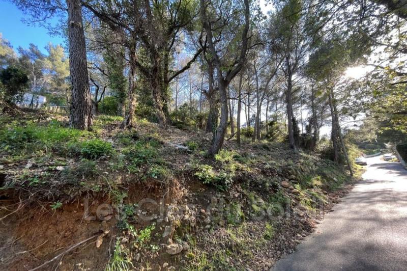 Terrain - 21 500 m²