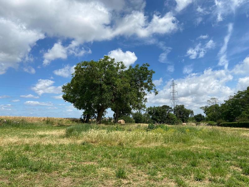 Maison - 150 m² - 4 pièces