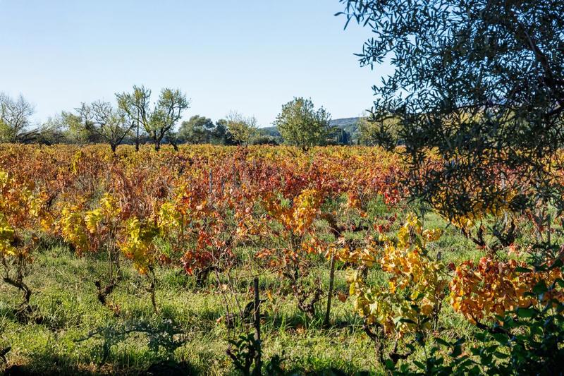 Villa - 160 m² - 5 pièces