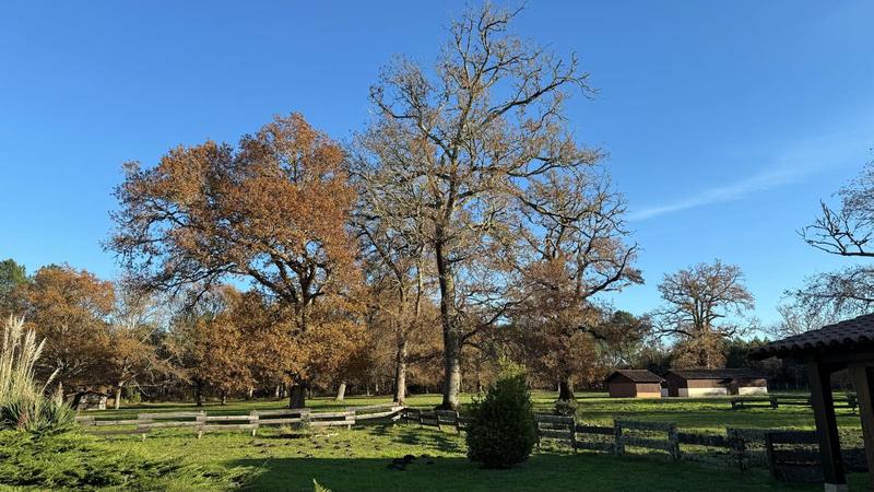 Maison - 245 m² - 9 pièces