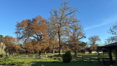 Maison - 245 m² - 9 pièces