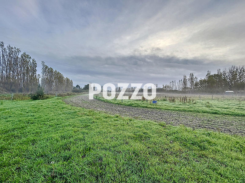 Maison de domaine équestre - 400 m²