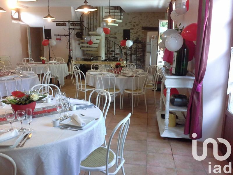 Château - 550 m² - 12 pièces