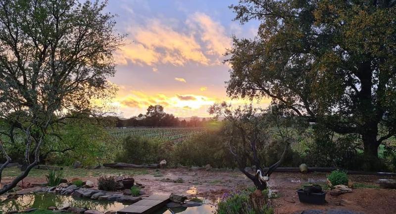 Propriété - 162 m² - 6 pièces