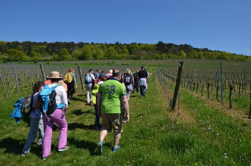 20eme Promenade des fines bouches