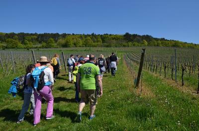 20eme Promenade des fines bouches