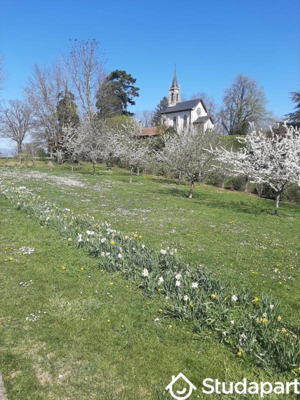 Chambre - 14 m² - 1 pièce