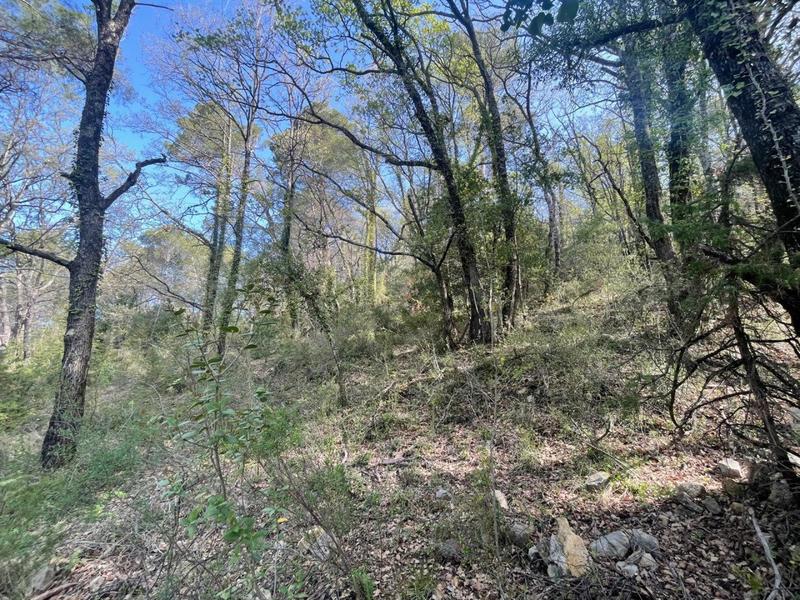 Terrain - 14 290 m²