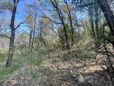 Terrain agricole - 14 290 m²