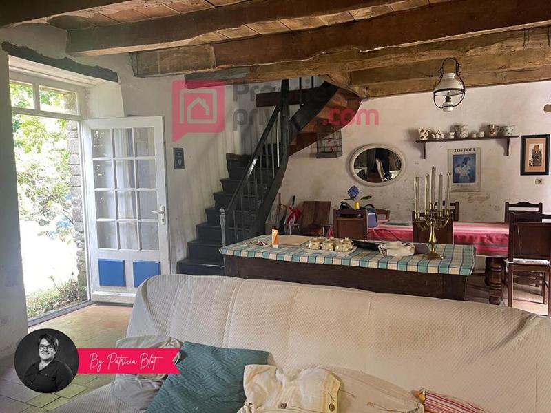 Maison - 250 m² - 4 pièces