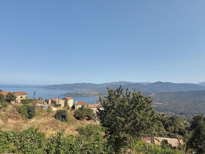 Villa - 300 m² - 5 pièces