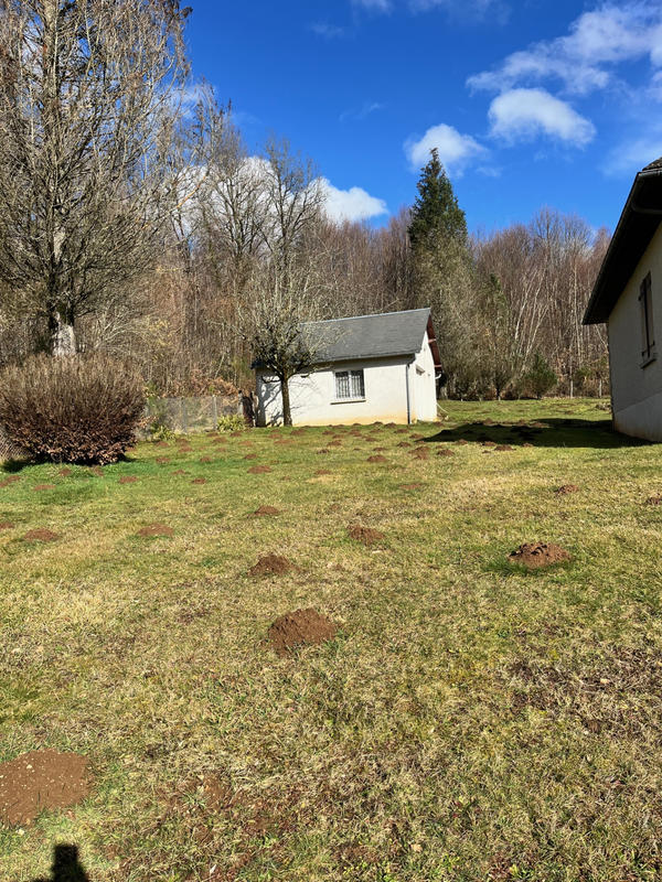 Maison - 118 m² - 5 pièces