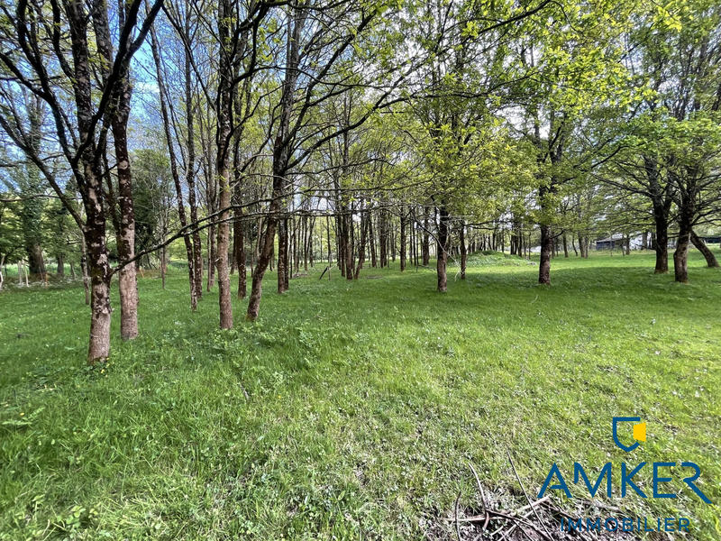 Maison - 175 m² - 8 pièces