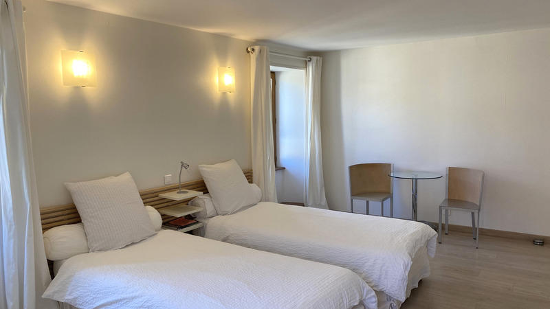 Hôtel particulier - 323 m² - 7 pièces