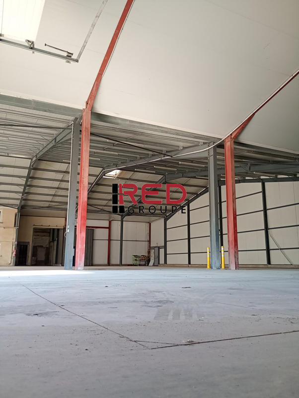 Entrepôt - 3 225 m²