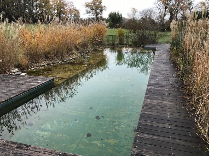 Manoir - 600 m² - 25 pièces