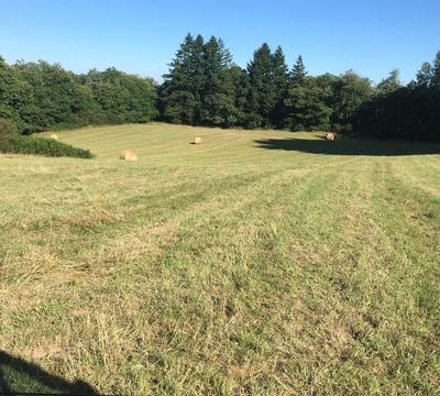 Corps de ferme - 110 m² - 5 pièces