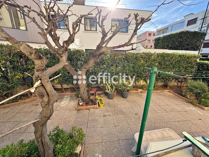 Appartement - 35 m² - 2 pièces