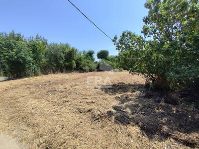 Terrain - 641 m²