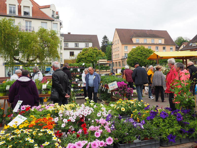 Fête de l'écotourisme