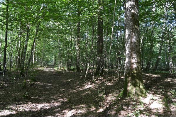 Terrain de loisirs - 30 000 m²