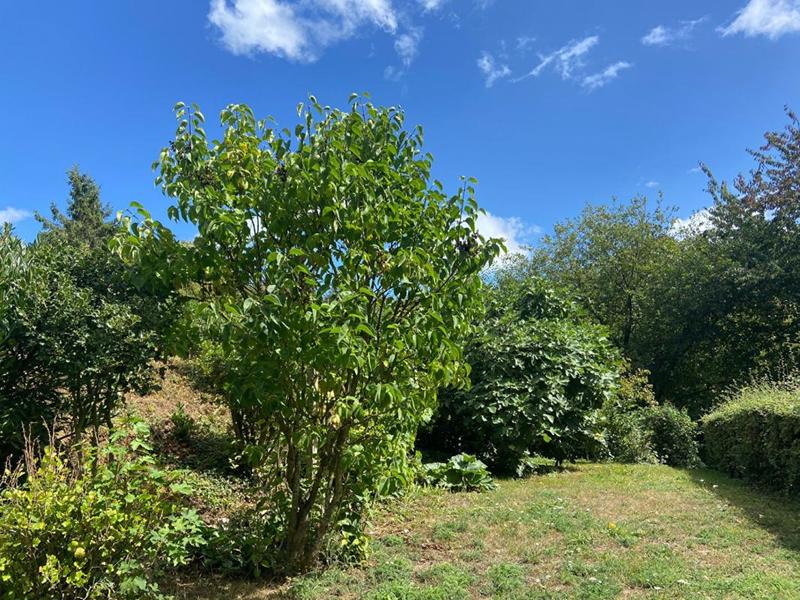 Maison - 165 m² - 6 pièces