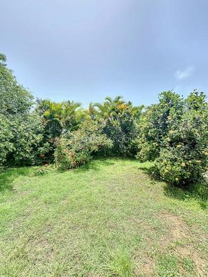 Maison - 199 m² - 5 pièces