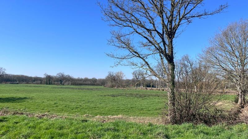 Terrain constructible - 430 m²