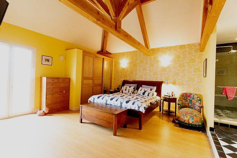 Maison contemporaine - 250 m² - 7 pièces