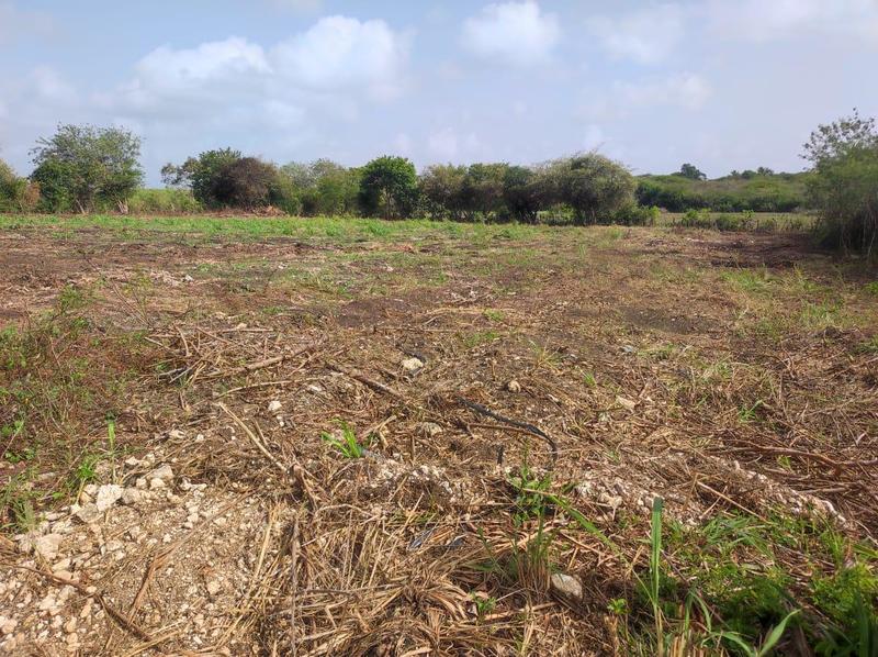 Terrain constructible - 2 154 m²