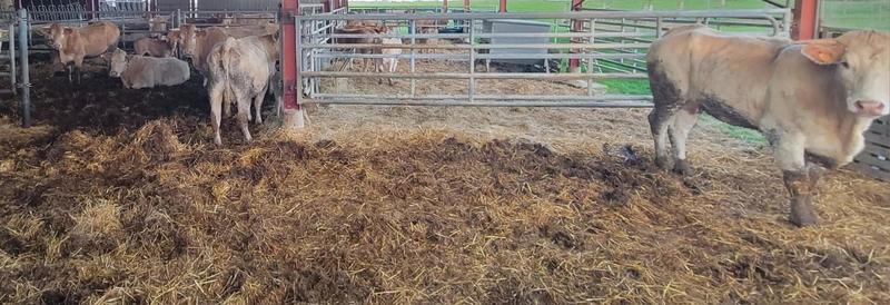 Terrain - 181 896 m²