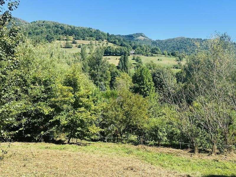 Maison de bois - 64 m² - 1 pièce