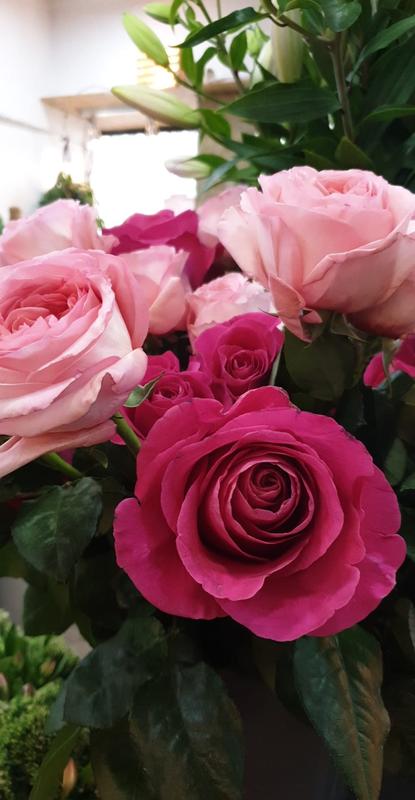 Black Baccara la Paillotte...