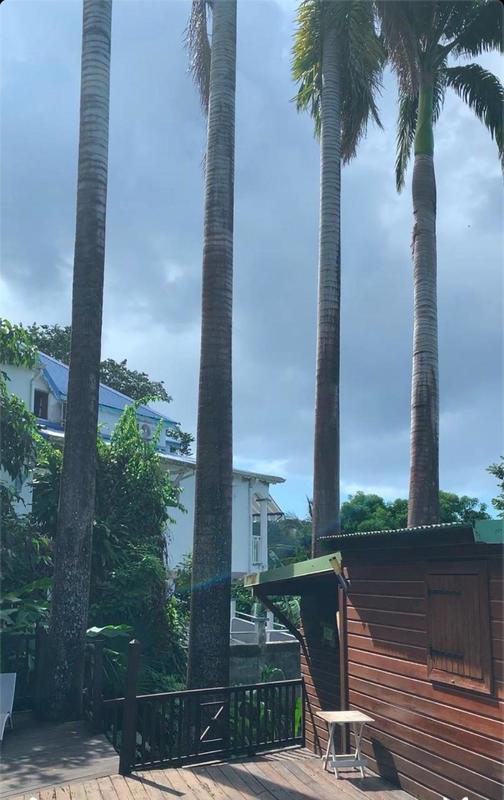 Maison - 478 m² - 21 pièces