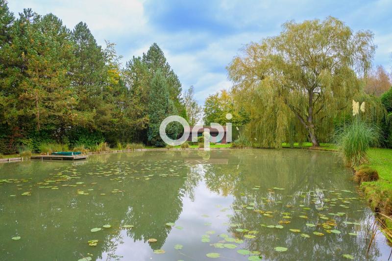 Terrain de loisirs - 7 636 m²