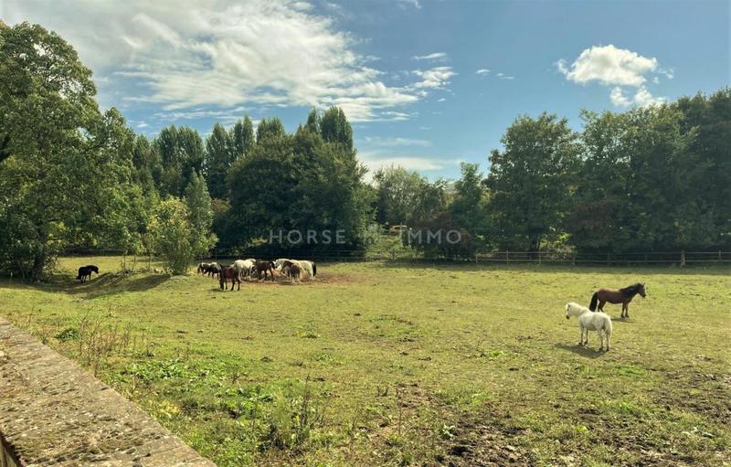 Maison de domaine équestre - 57 m² - 3 pièces