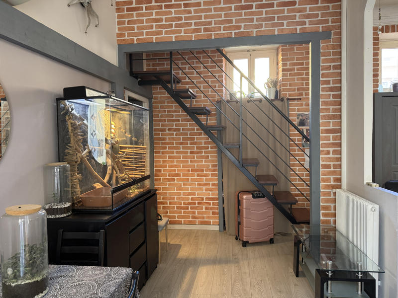 Appartement - 71 m² - 3 pièces