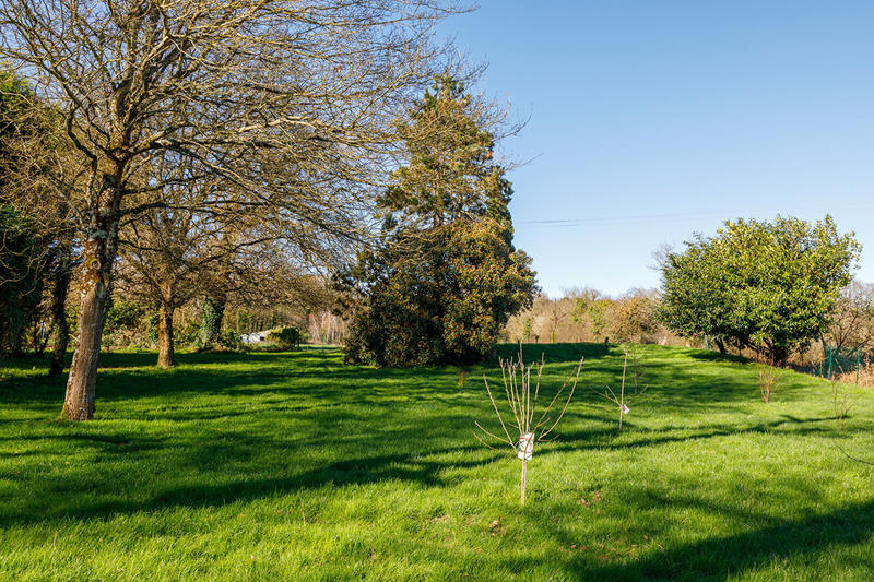 Maison - 282 m² - 10 pièces