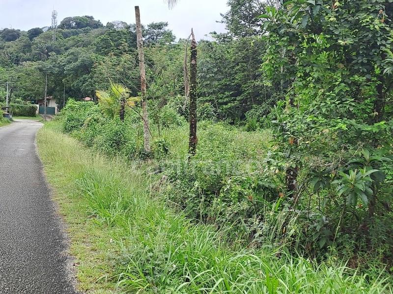 Terrain constructible - 3 444 m²