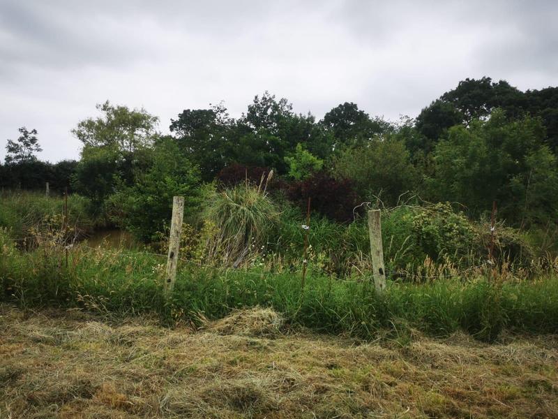 Terrain de loisirs - 9 295 m²