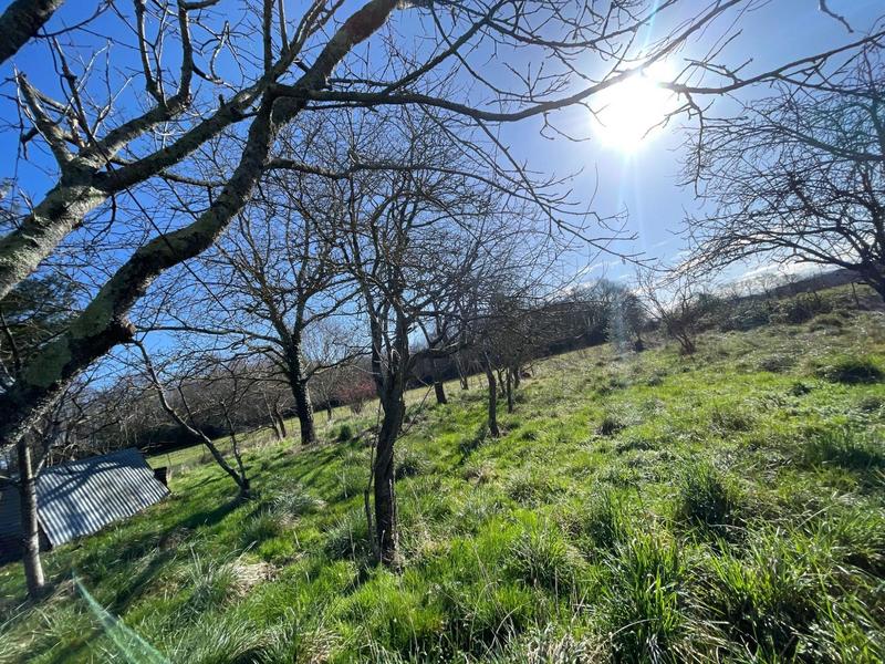 Maison - 150 m² - 1 pièce