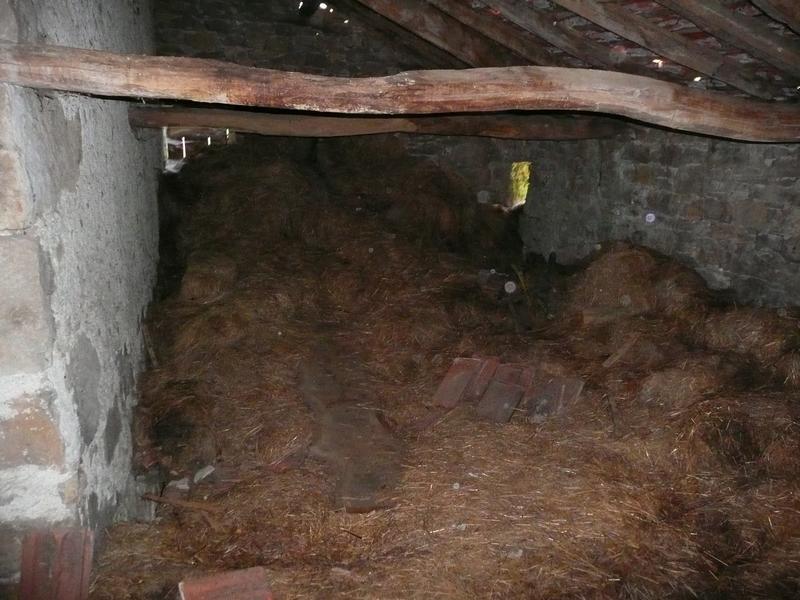 Maison ancienne - 55 m² - 3 pièces