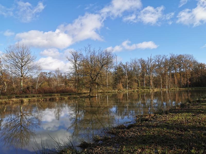 Terrain de loisirs - 11 400 m²