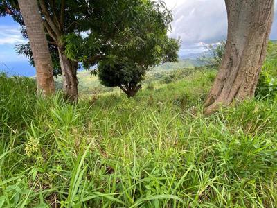 Terrain - 10 800 m²