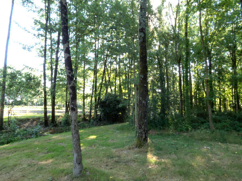 Terrain de loisirs - 13 512 m²