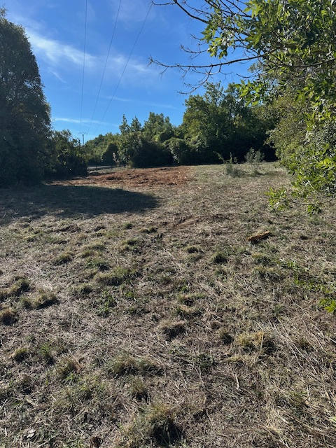 Terrain de loisirs - 24 254 m²