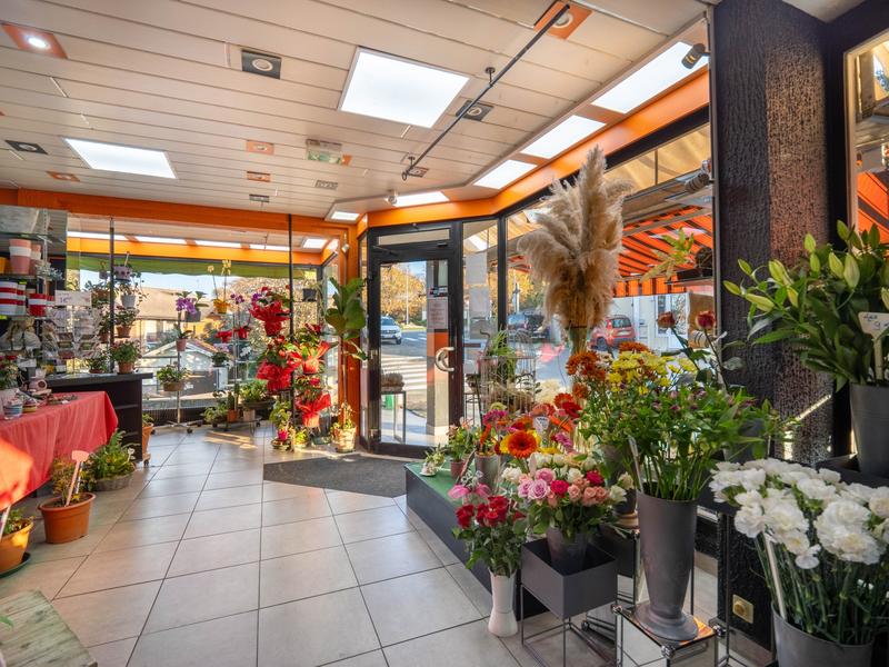 Maison ancienne - 325 m² - 13 pièces