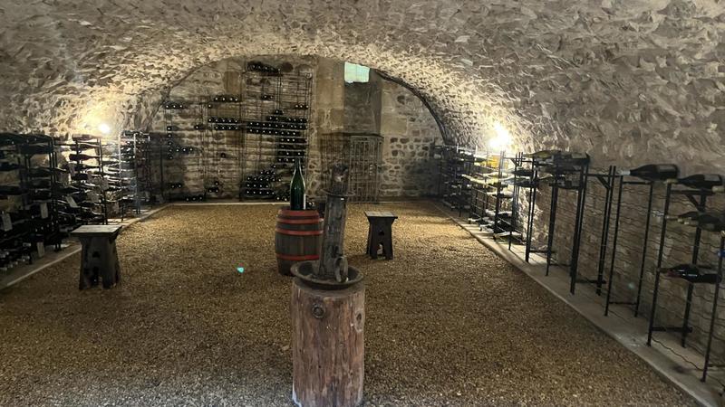 Hôtel particulier - 390 m² - 10 pièces