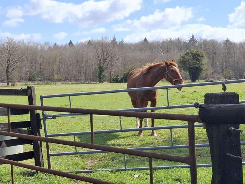 Maison - 138 m² - 6 pièces